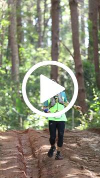 BIB:  <button type="button" onclick="openModal(26569572)" class="btn btn-primary btn-sm float-right" data-toggle="modal" data-target=".modal-high-quality">
                <i class="fa fa-download"></i> Download
                </button>